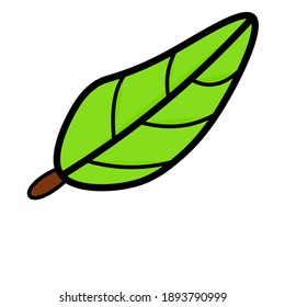 vector illustration of green leaves