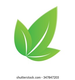 Vector illustration green leaves