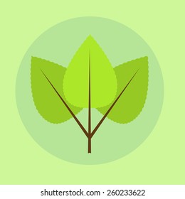 Vector illustration of green leaves of birch. Spring leaves composed on green background