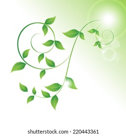 Vector illustration of green leaves curls