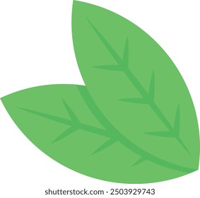 Vector illustration of green leaves design element