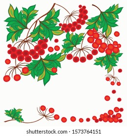 Vector illustration with green leaves, foliage, red berries, viburnum, rowan. Traditional Ukrainian folk style painting. Botanical floral frame. Design element for decoration, banner, flyer, print