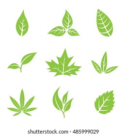 Vector Illustration of Green Leaves isolated on white