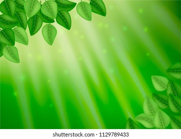 Vector illustration of green leaves on the tree sparkle and light between the branches the flash of lights green summer background with sun rays.