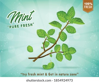 Vector illustration of green leaves on light blue background