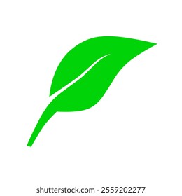 vector illustration of green leaves on a white background