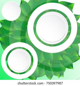 vector illustration of green leaves and white frames