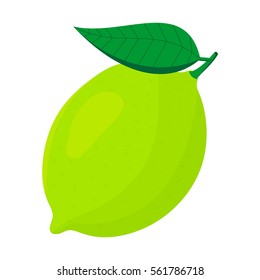 Vector illustration of green lemon on white background. Lemon, lime icon.