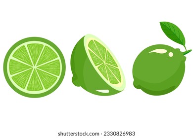 Vector illustration of green lemons in different styles