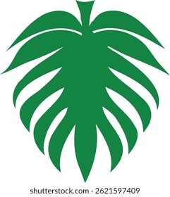 vector illustration of a green Monstera leaf