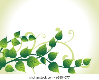 vector illustration of green nature background