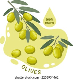 Ilustración vectorial de ramas de olivo verdes con hojas y bayas individuales. Ilustración vegetal en un estilo plano sobre un fondo de oliva.