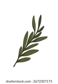 Vektorgrafik grüner Olivenzweig