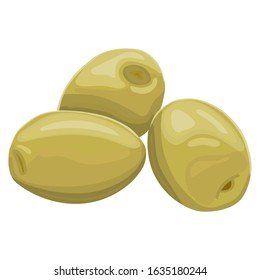 Vector illustration of green olives isolated on white background. Design for olive, natural and organic products