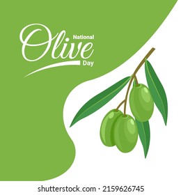 Vector illustration of green olives, perfect as a product packaging image, banner or poster, national olive day.