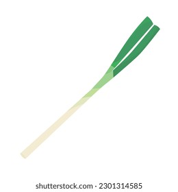 Vector illustration of green onion.