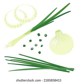 Vector illustration of green onion. set of onion svg