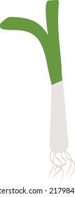 Vector Illustration Green Onion Whole Isolated over White