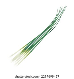 Vector illustration of green onions.