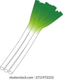 Vector illustration of green onions, an essential ingredient in sukiyaki and hot pot dishes