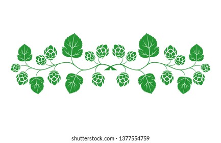 Vector illustration. Green outline (contour) of crossed hop branches with leaves isolated on white background. Decorative design element for beer menu as border for text divider and page decoration.