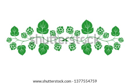 Vector illustration. Green outline (contour) of crossed hop branches with leaves isolated on white background. Decorative design element for beer menu as border for text divider and page decoration.