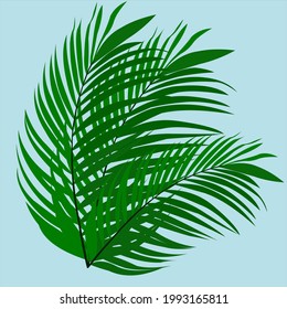 Vector illustration of green palm leaf