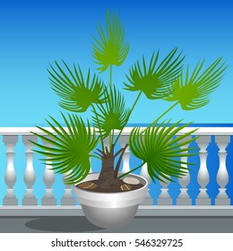 Vector Illustration. Green palm and sea.