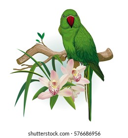 Vector illustration of a green parrot sitting on a branch next to a flower orchids