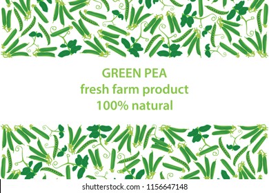 vector illustration of green pea and leaf design background white and vegetable and text fresh farm product 100% natural EPS10