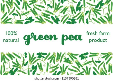 vector illustration of green pea and leaf design with lettering green pea background white and vegetable and text fresh farm product 100% natural EPS10