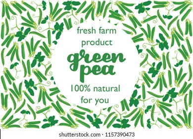 vector illustration of green pea and leaf design with lettering green pea background white and vegetable and text fresh farm product 100% natural for you EPS10