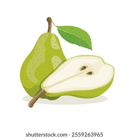 Vector illustration of green pear isolated on white background