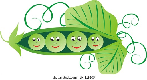 Vector illustration of green peas
