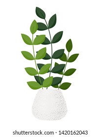 Vector illustration of green plant in a pot isolated. Zamioculcas indoor plant.