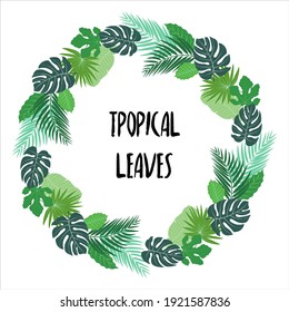 Vector illustration. Green plants, exotic leaves, banana leaf, areca palm, botany, flora. Tropical frame, place for your text. White background isolated. Wedding invitation or card design