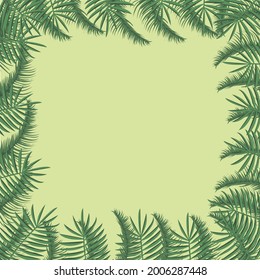 Vector illustration. Green plants, exotic leaves, botany, flora. Tropical frame, place for text. Yellow-green background isolated. Wedding invitation or postcard design 