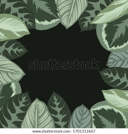 Vector illustration. Green plants, exotic leaves, banana leaf, palms, botany, flora. Tropical frame, place for text. White background is insulated. Wedding invitation or greeting card design