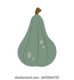 Ilustração vetorial da abóbora verde isolada no fundo branco.	