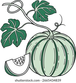 Ilustração vetorial de uma abóbora verde sobre um fundo branco