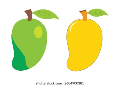 Vector Illustration of Green and Ripe Mango – Fresh Tropical Fruit Design