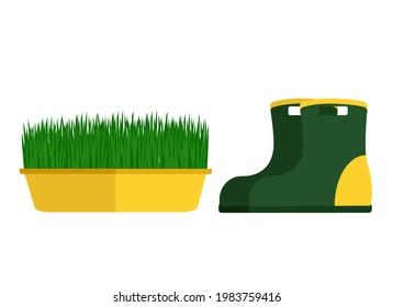 Vector illustration of green rubber boots and yellow pot of grass