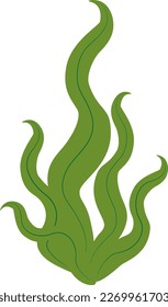 Vector illustration of green seaweed laminaria in cartoon style. Digital green lichen clipart. Green algae shrub