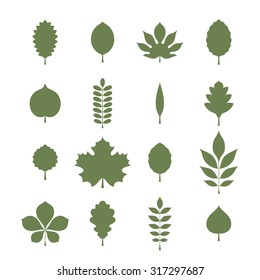 Vector illustration: green silhouettes of tree leaves (elm, beech, ash, linden, birch, alder, aspen, willow, maple, oak, acacia, chestnut, conker etc.) isolated on white background