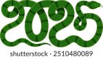 Vector illustration of green snake intertwined in shape of the number 2025. Isolated serpent silhouette design combined as numeric symbol for 2025 Chinese New Year celebration with snake zodiac sign.