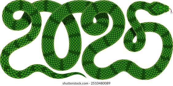 Ilustración vectorial de serpiente verde entrelazada en forma del número 2025. Diseño aislado de la silueta de la serpiente combinado como símbolo numérico para la celebración del Año Nuevo chino 2025 con el signo del zodiaco de la serpiente.