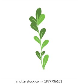 Vector illustration with a green sprig. Vector of plants in the doodle style for banners and postcards.