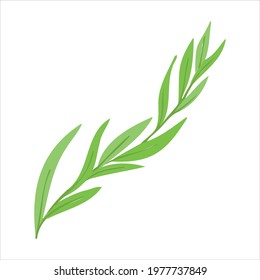 Vector illustration with a green sprig. Vector of plants in the doodle style for banners and postcards.
