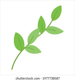 Vector illustration with a green sprig. Vector of plants in the doodle style for banners and postcards.