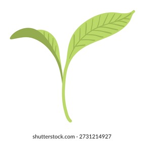 Ilustración vectorial de un brote verde con dos hojas. Objeto plano botánico y ecológico